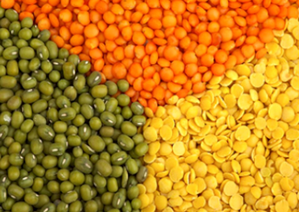 Red green and yellow lentils